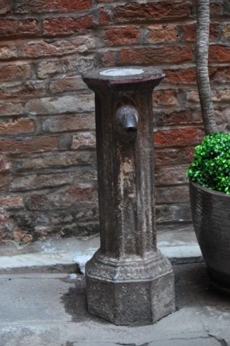 DSC 0117