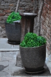 DSC 0118