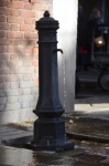 DSC 2455