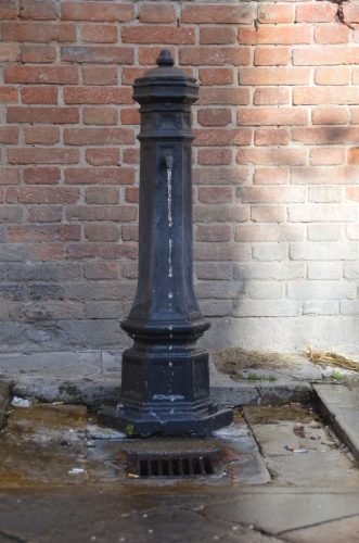 DSC 2456