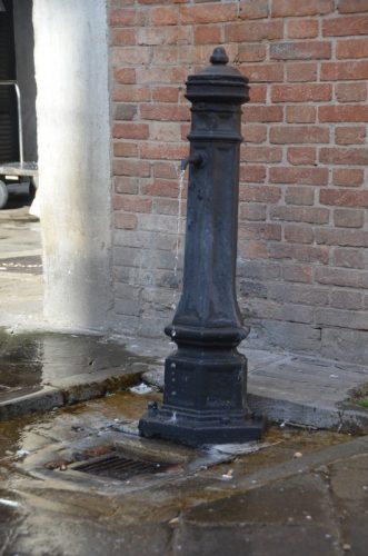 DSC 2459