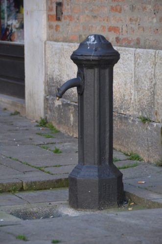 DSC 2409