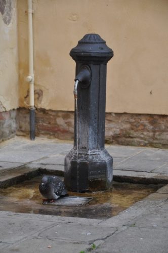 DSC 0167