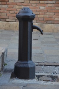 DSC 2303