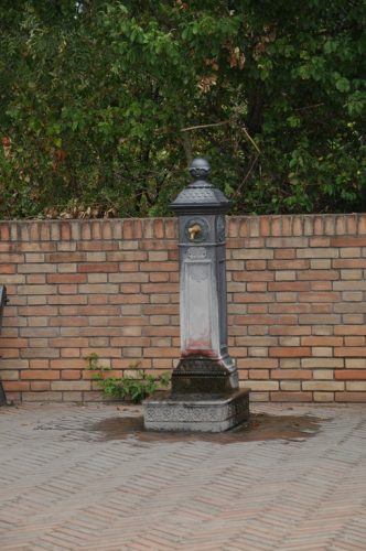 DSC 0210
