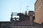 DSC 0148 (2)