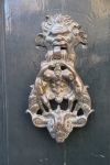DSC 0385