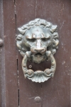 DSC 0566