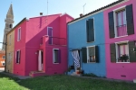 DSC 0206