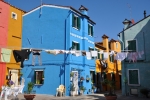 DSC 0254