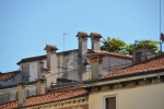 DSC 0317