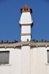 DSC 0700 (2)
