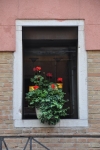 DSC 0579