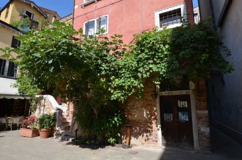 DSC 8749