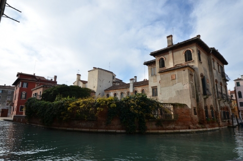 DSC 8600