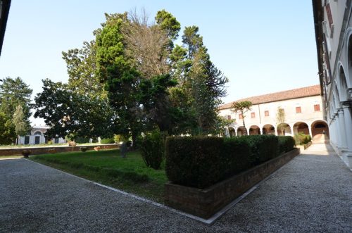 DSC 4071
