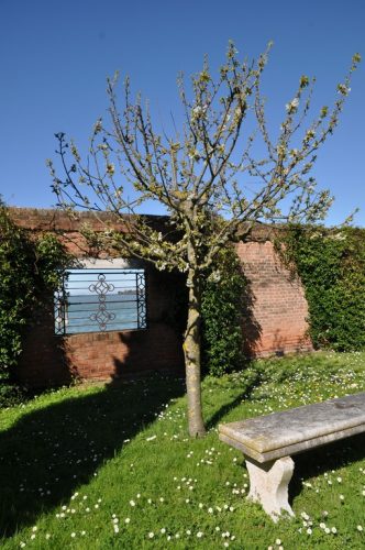 DSC 0626