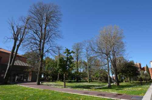 DSC 2647
