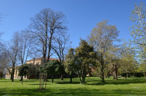 DSC 2657