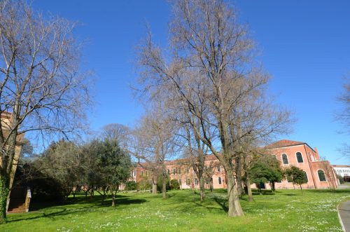 DSC 2659