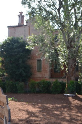 DSC 3518