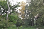 DSC 0316