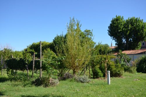 DSC 3933