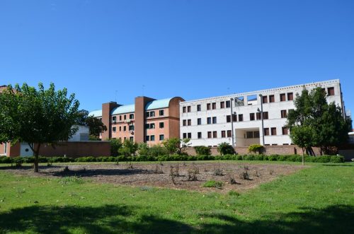 DSC 3944