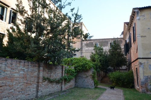 DSC 3815
