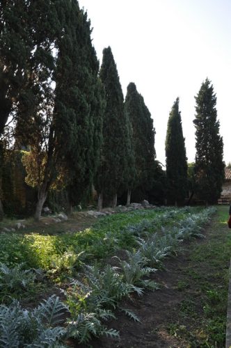 DSC 0086