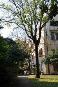 DSC 0055