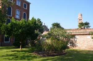 DSC 4820