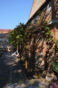 DSC 4824