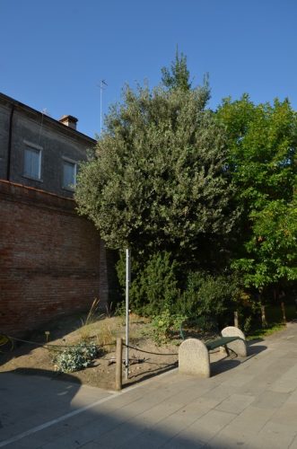 DSC 4409