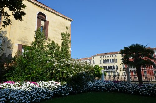 DSC 4387