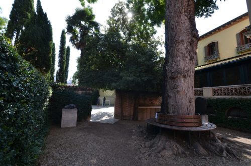 DSC 4039