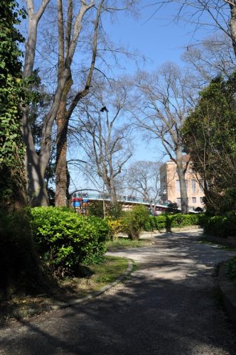 DSC 0424