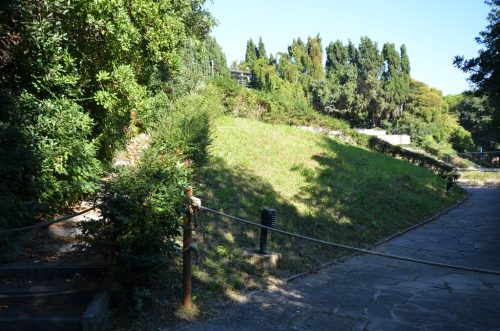 DSC 4609