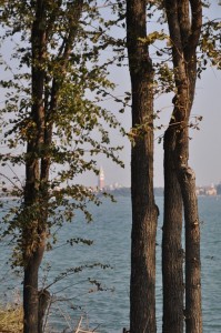 DSC 0023