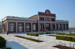 DSC 4782