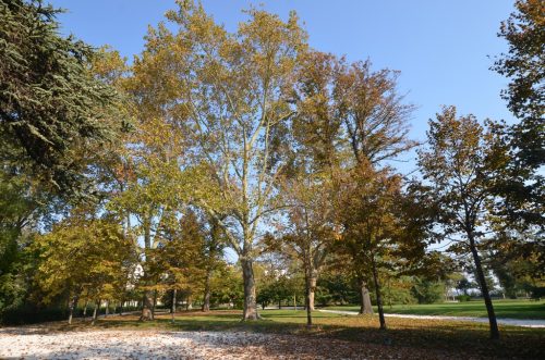 DSC 4802