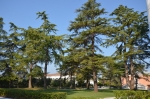 DSC 4808