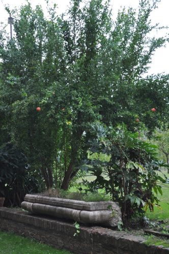 DSC 0091