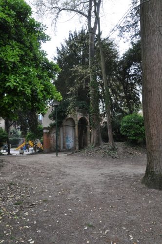 DSC 0535