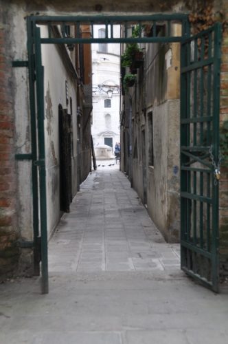DSC 0537