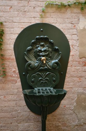 DSC 4524