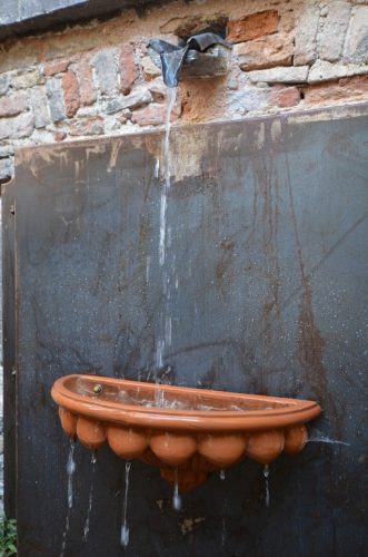 DSC 4538