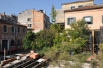 DSC 0060