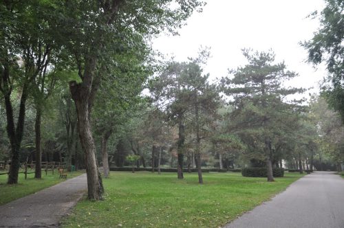 DSC 0628
