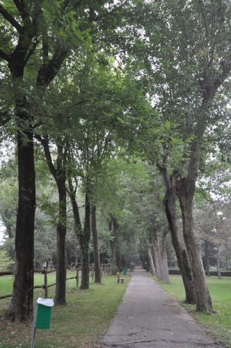 DSC 0629